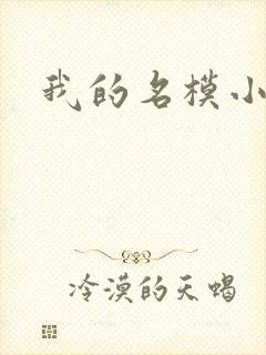 我的名模小娇妻