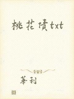 桃花债txt封面