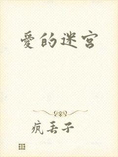 爱的迷宫封面