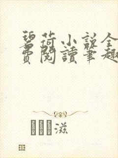 碧荷小说全文免费阅读笔趣阁封面