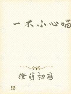 一不小心喵上你封面