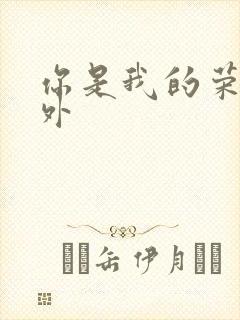 你是我的荣耀番外