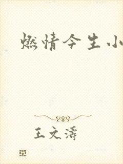 燃情今生小说