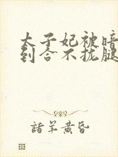 太子妃被暗卫C到合不拢腿