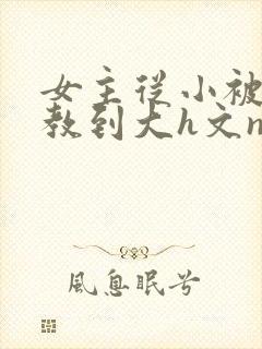 女主从小被肉调教到大h文np