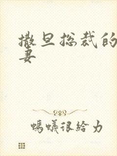 撒旦总裁的下堂妻封面