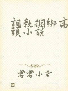 调教捆绑高潮乳头小说