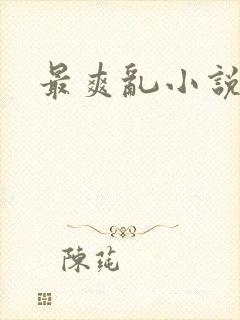最爽乱小说