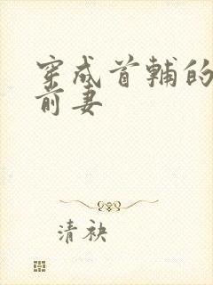 穿成首辅的炮灰前妻