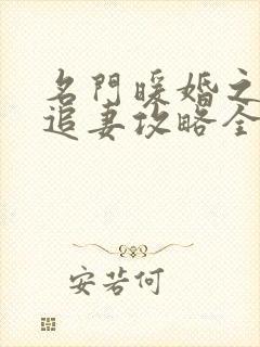 名门暖婚之权爷追妻攻略全文免费阅读封面