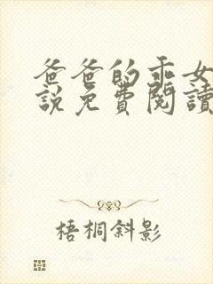 爸爸的乖女儿小说免费阅读