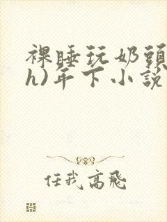 裸睡玩奶头(高h)年下小说