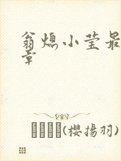 翁熄小莹最新节章