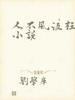 人不风流枉少年小说