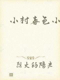 小村春色小说封面