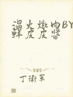 温火炖肉BY海鲜皮皮酱