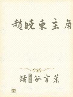 赵晓东主角小说