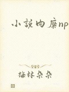 小说肉糜np
