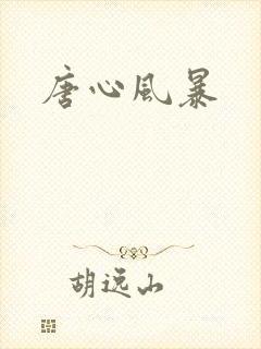 唐心风暴