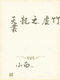天龙之虚竹戏花丛封面