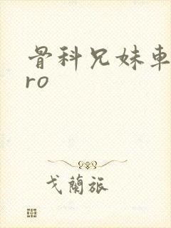 骨科兄妹车多pro