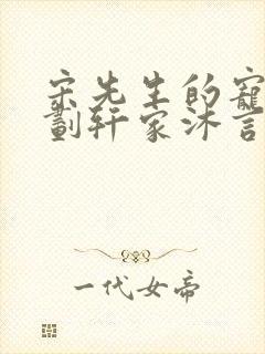 宋先生的宠妻计划轩家沐言封面