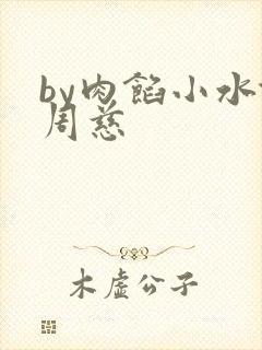 by肉馅小水饺周慈封面