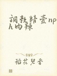 调教精壶np高h肉辣封面