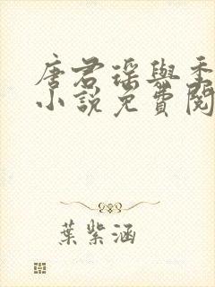 唐君瑶与季翰诚小说免费阅读全文最新章节封面