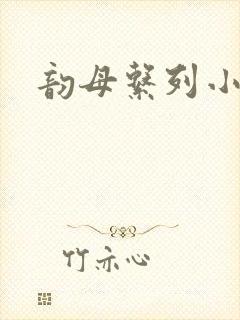 韵母系列小说封面