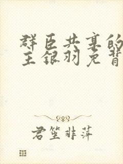 群臣共享的小公主银羽免背刺封面