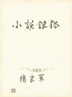 小说银狐封面