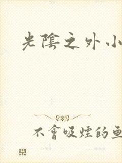 光阴之外小说