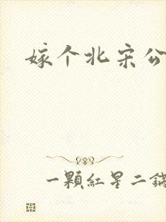 嫁个北宋公务员封面