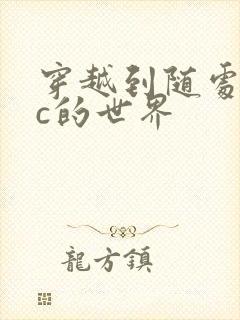 穿越到随处可以c的世界