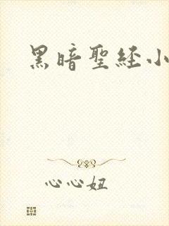 黑暗圣经小说封面