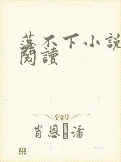 落不下小说免费阅读