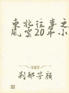 东北往事之黑道风云20年小说