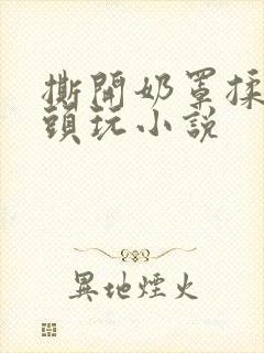 撕开奶罩揉吮奶头玩小说