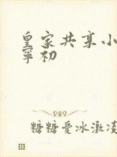 皇家共享小公主宁初