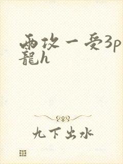两攻一受3p双龙h