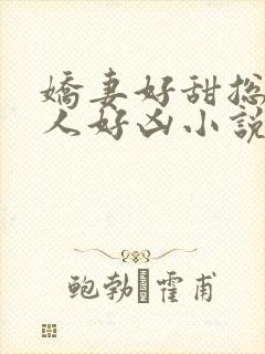 娇妻好甜总裁大人好凶小说全文阅读