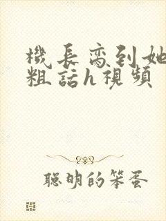 机长脔到她哭h粗话h视频