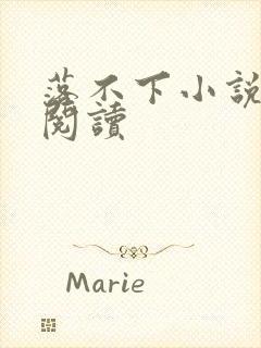 落不下小说免费阅读