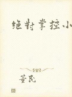 绝对掌控小说封面