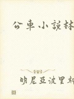 公车小说林蔓蔓