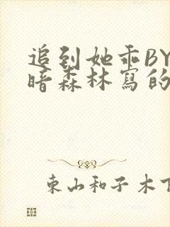 追到她乖BY黑暗森林写的小说