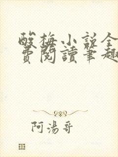 酸梅小说全文免费阅读笔趣阁