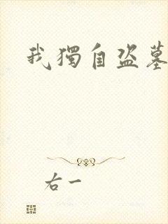 我独自盗墓