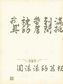 我被带到满是玩具的房间挑调作文